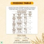 Nestle Nestum Rice Vegetable (8-24 month) - Image 3